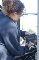 No injuries, pets lost in house fire