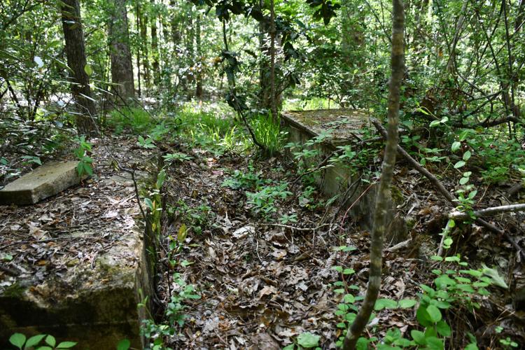 PHOTOS: Dozens of old Youngsville graves lie in the woods of the Russell Mills estate