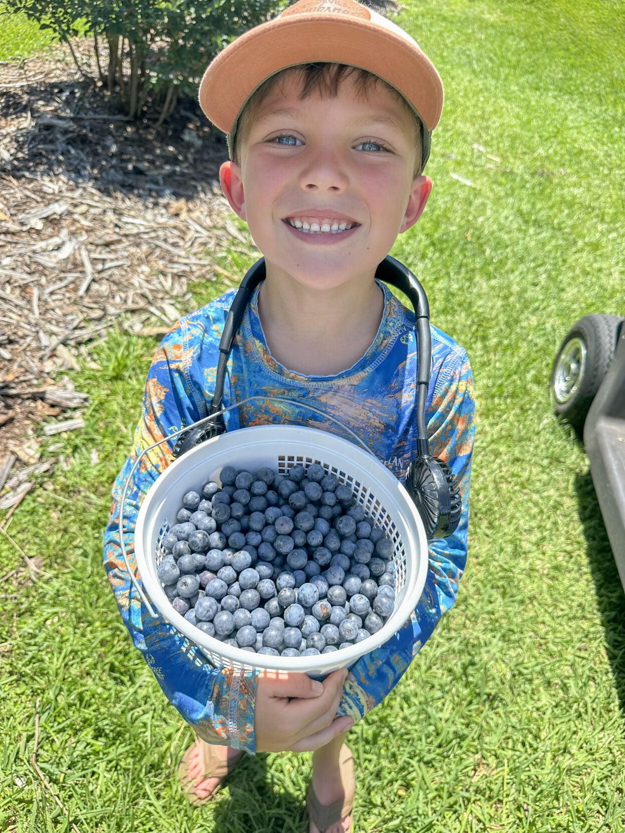 NWF Blueberries.jpeg