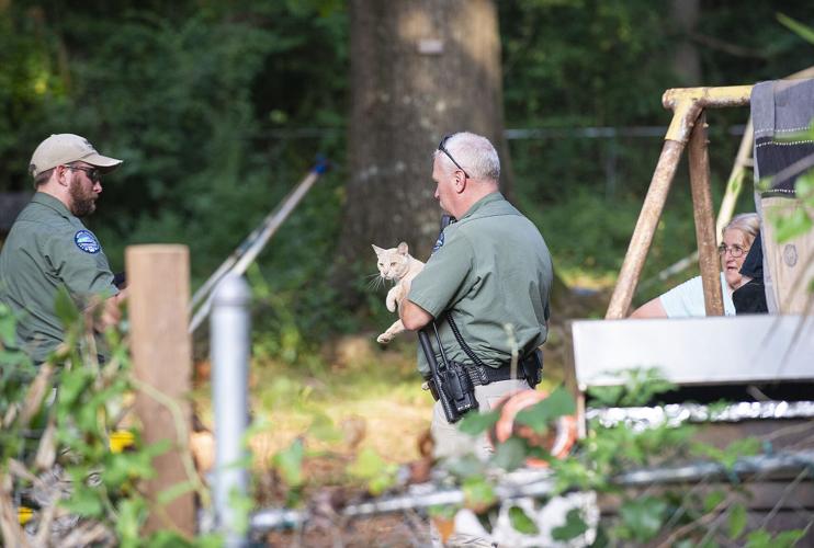 16 cats, 14 dogs, 3 pigs, 1 duck seized in Dadeville animal cruelty case