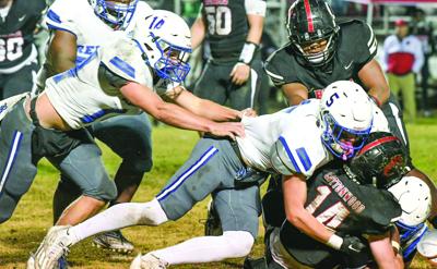 Reeltown's schedule features loads of talent