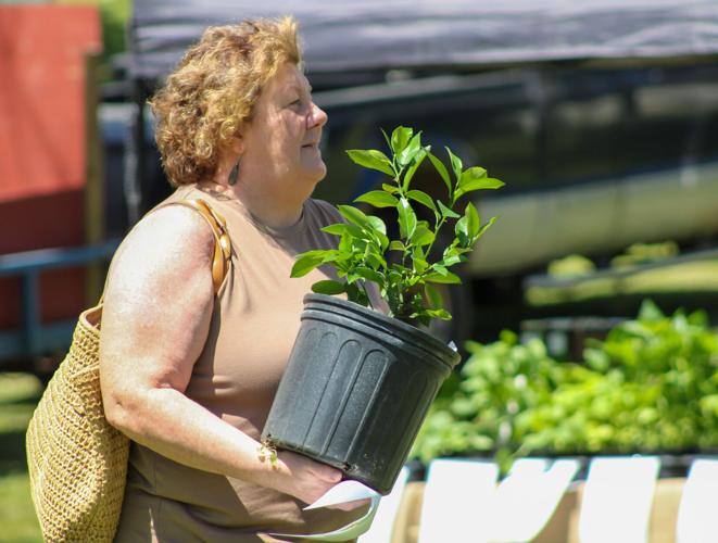 PHOTOS: Plants in the Park