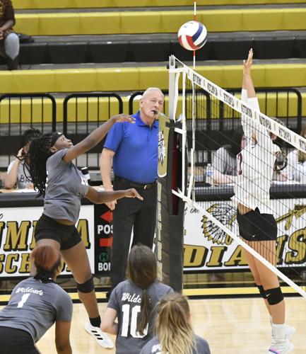 Benjamin Russell area tournament volleyball