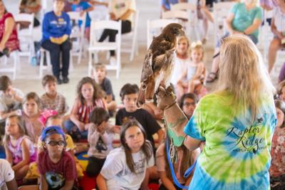 Taking flight in Eclectic: Raptor Ridge provides to learn about raptors up close