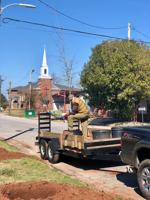 Beautification board gives Dadeville the royal TREEtment