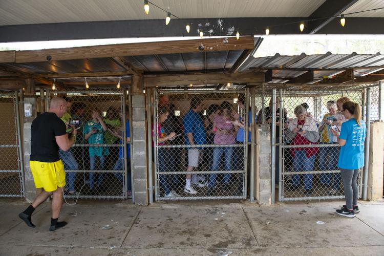 PHOTOS: Jordan's Way helps raise funds for animal shelters