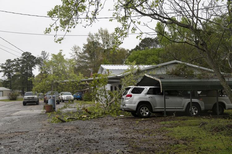 PHOTOS: Storm damage in Elmore County