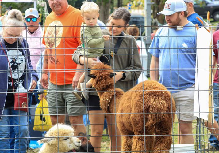 PHOTOS: 2023 Alabama Cotton Festival