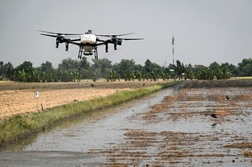An agricultural drone spraying microbial solution Soil Digest onto crop stubble in a rice paddy in Pathum Thani province