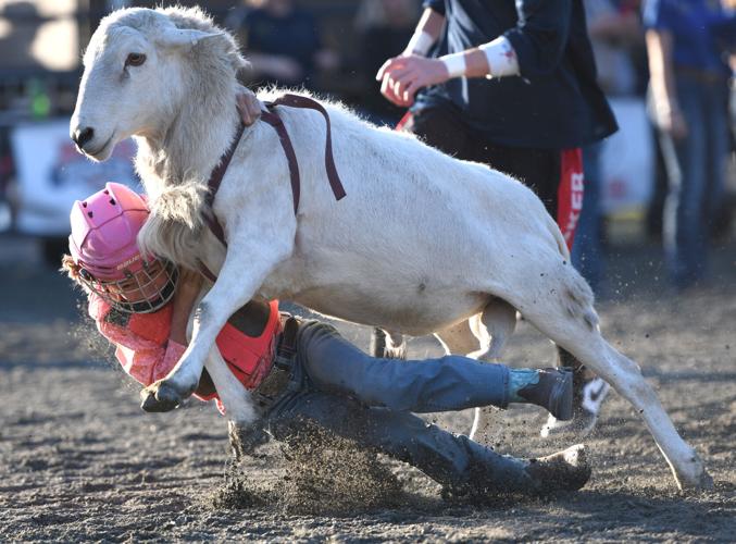 Wetumpka FFA Alumni Rodeo