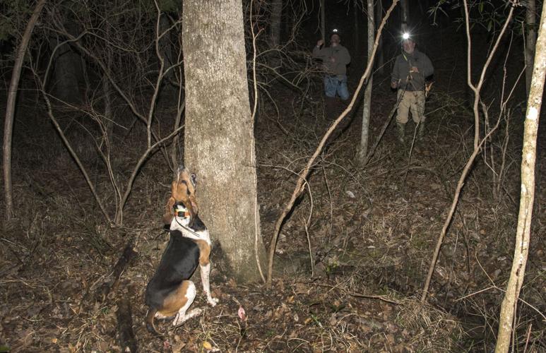 Champions of the Night