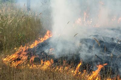 Camp Hill amends burn ordinance, appoints new police chief