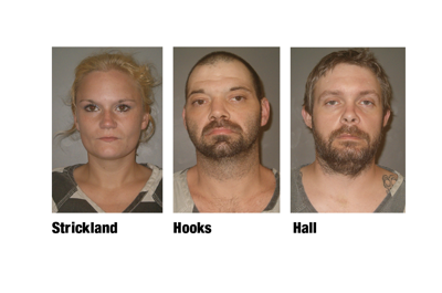 3 arrested in 2 incidents by the Tallapoosa County Narcotics Task Force