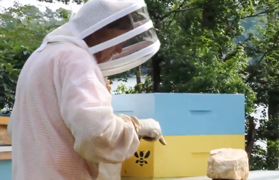Local beekeeper discusses honey production process