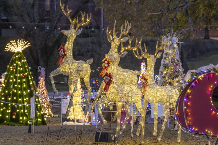 Christmas at Pennington Park