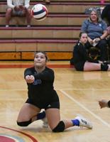 Horseshoe Bend wins area tournament, Reeltown finishes third