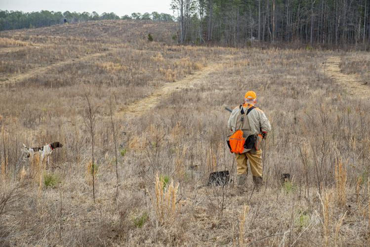 Crimson Acres_edit_04.jpg