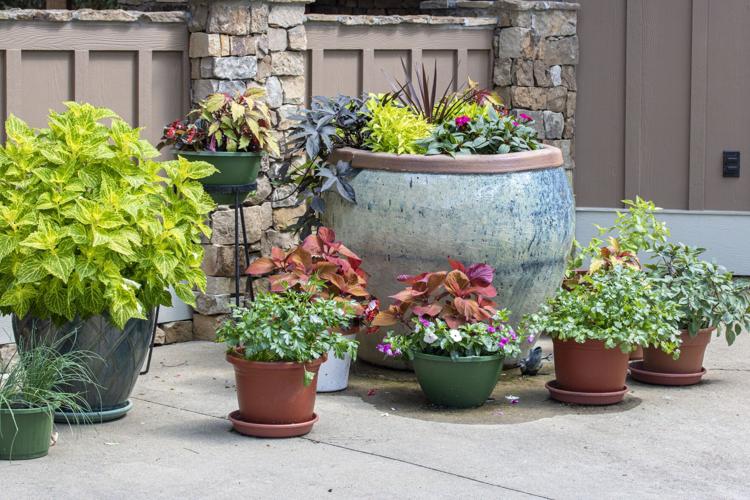 Cue the colorful containers