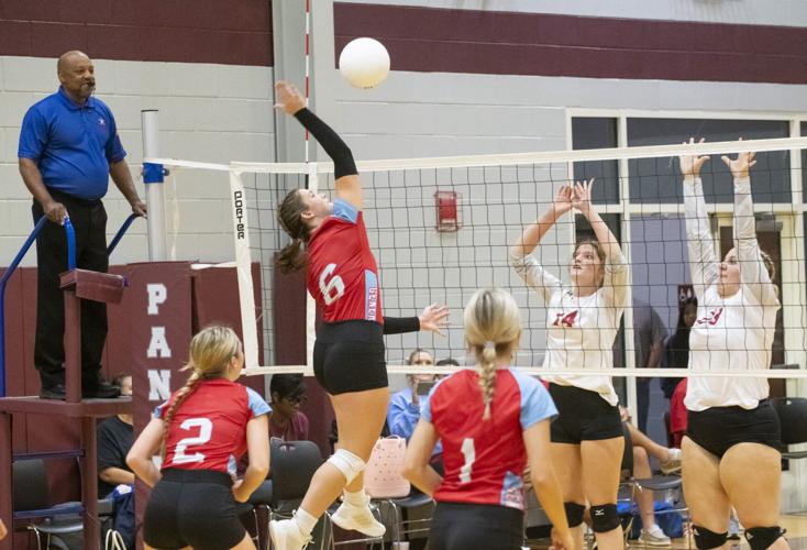 PHOTOS: Elmore County volleyball hosts block party