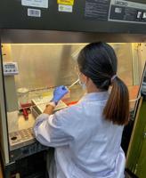 Lake Watch goes hi-tech with AU microbiologist