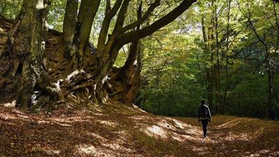 Mental health treatment expands beyond clinical settings as needs grow