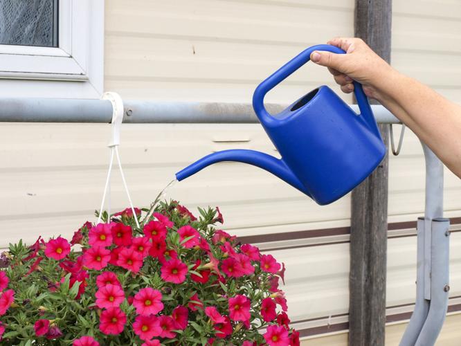 Watering flowers 2