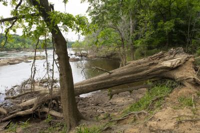 Cliff Williams / TPI Corn Creek flows into the Coosa River up river from downtown Wetumpka. A swimmer went underwater Friday afternoon and was recovered Saturday morning.