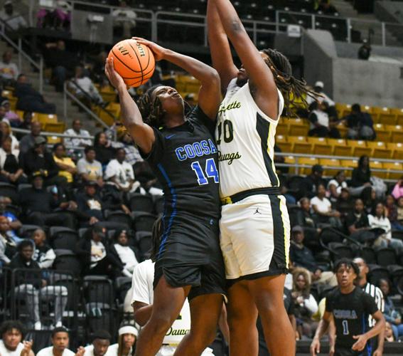 022126-coosa 001.jpg