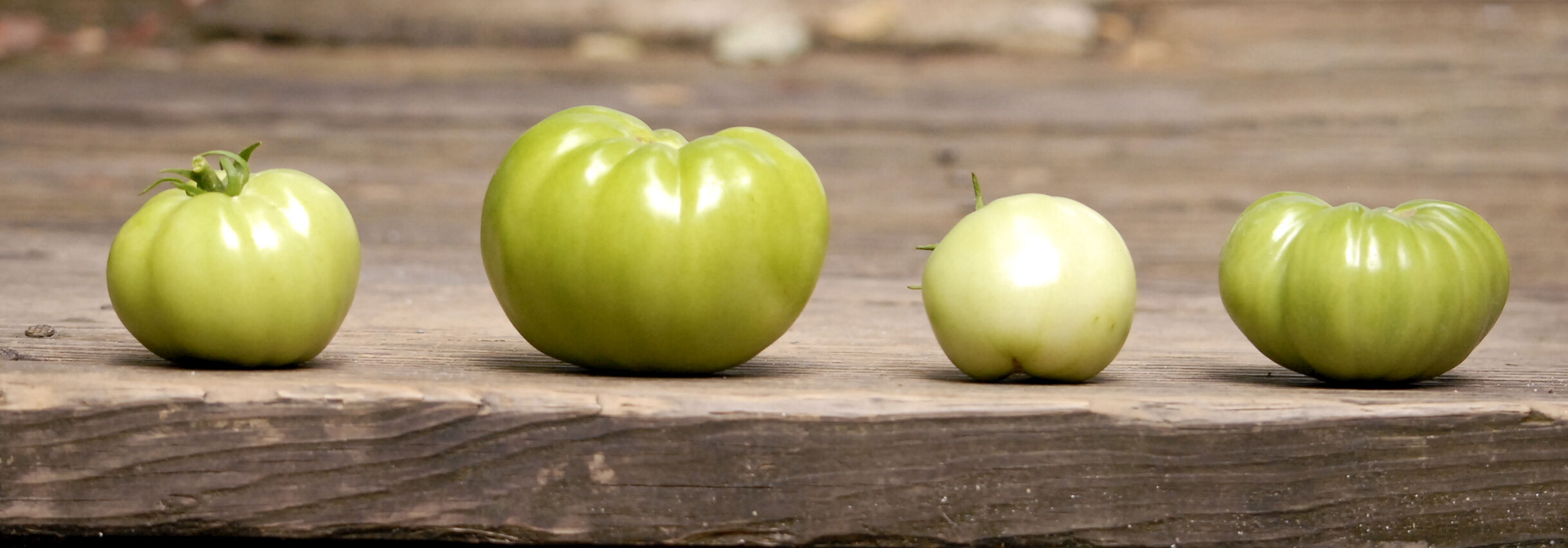 Grow goodness this summer