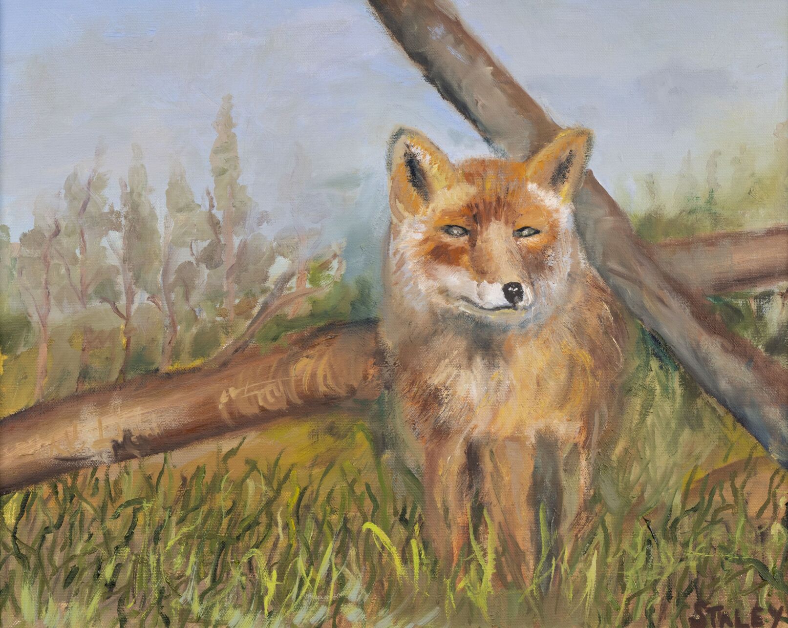 Lake Martin Living Art & Photo Contest