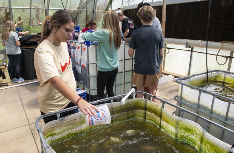 PHOTOS: Growing tilapia and tomatoes at Tallassee High School