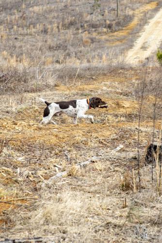 Crimson Acres_edit_07.jpg