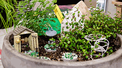 Grow a garden anywhere