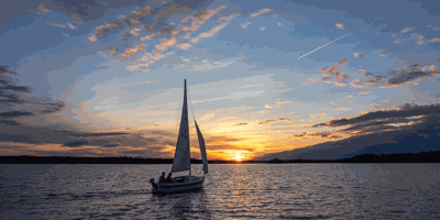 Freebird sails again