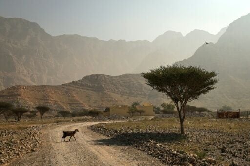 El Nino could develop before the end of the year, pushing temperatures higher