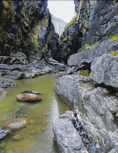 Art & Photography Contest Winners