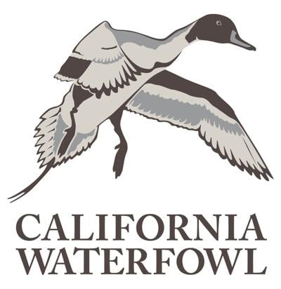 CWA 80th Anniversary Logo