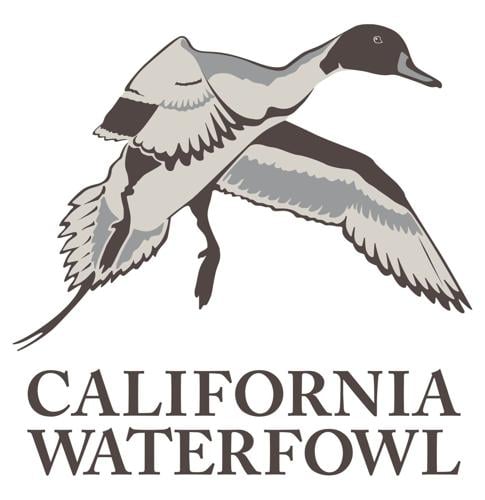 CWA 80th Anniversary Logo