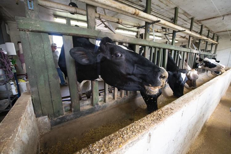 PHOTOS: Storm damage at Blue Ribbon Dairy