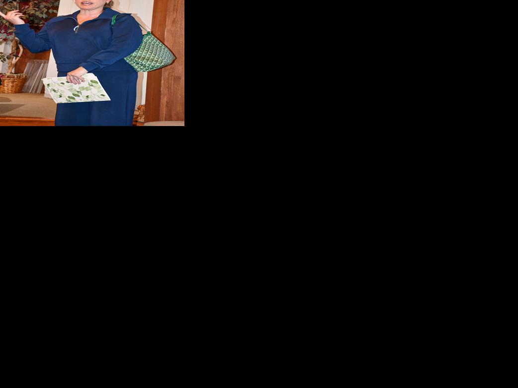 102925 dadeville city council.jpg