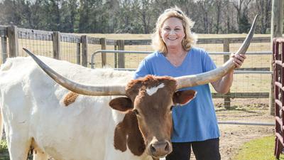 Elmore County longhorns have a beef but don’t show it