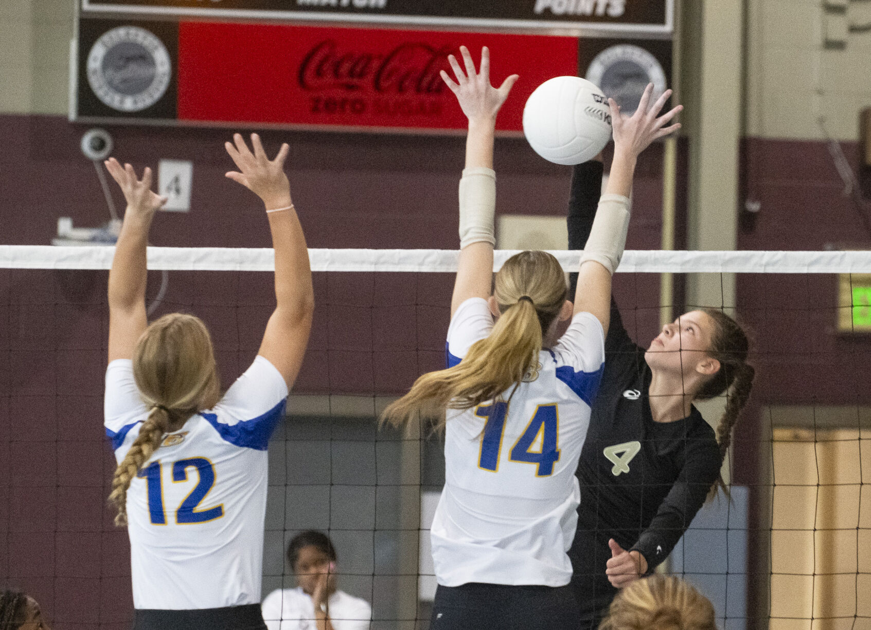 PHOTOS: Elmore County volleyball hosts block party