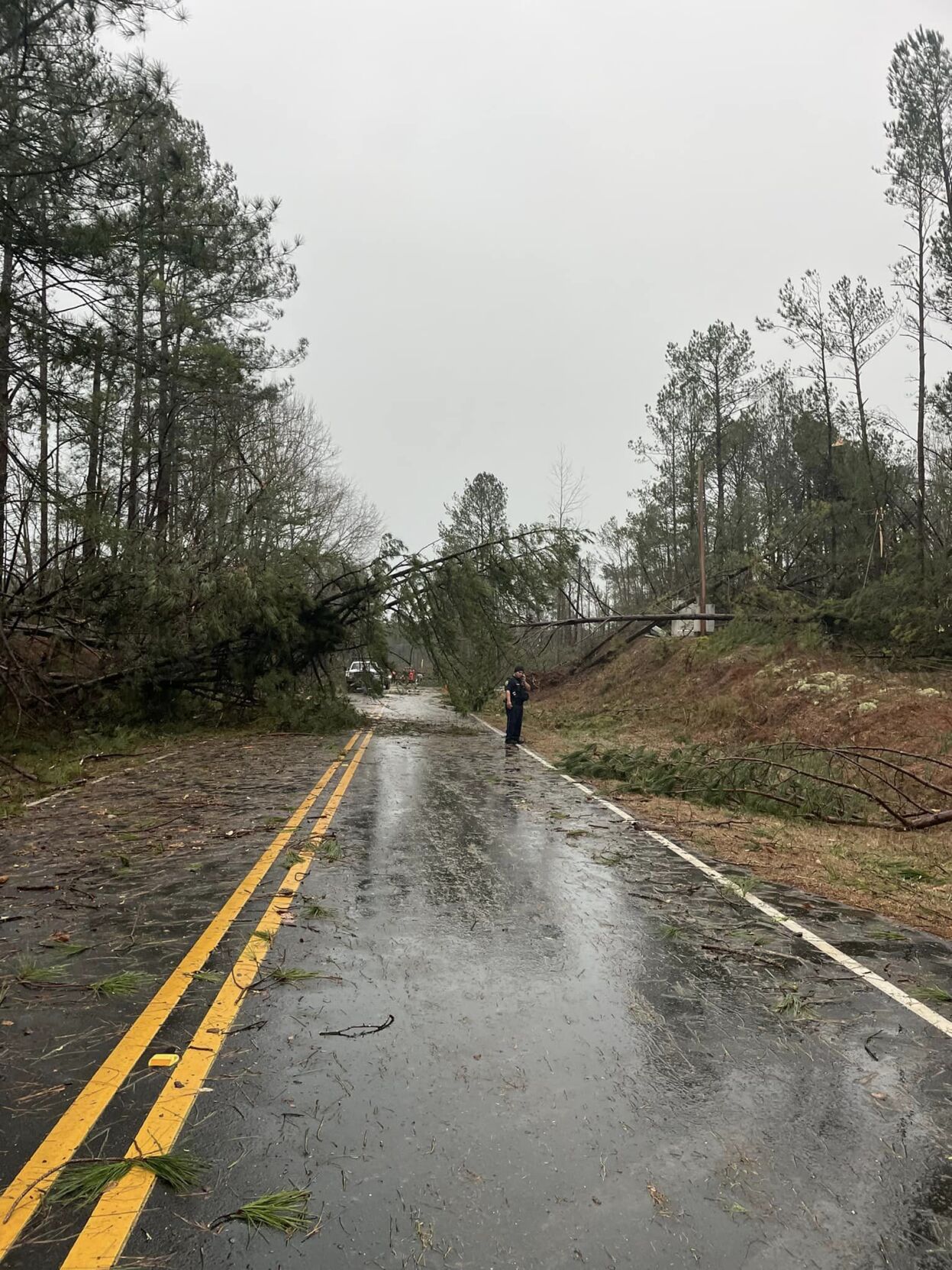 PHOTOS: Damage from tornado-warned storm across Tallapoosa County