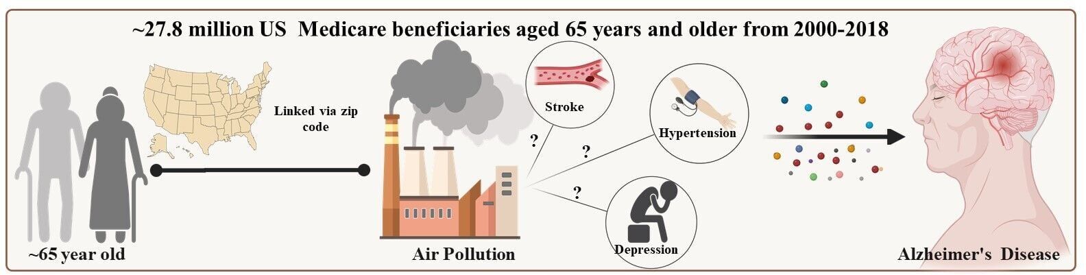 Air pollution may directly contribute to dementia, warns study