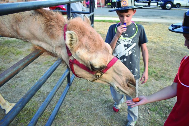 PHOTOS: National Night Out in Alexander City