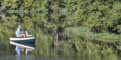 Where to find fish
