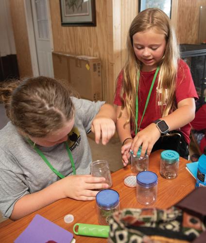 Campers learn about critters
