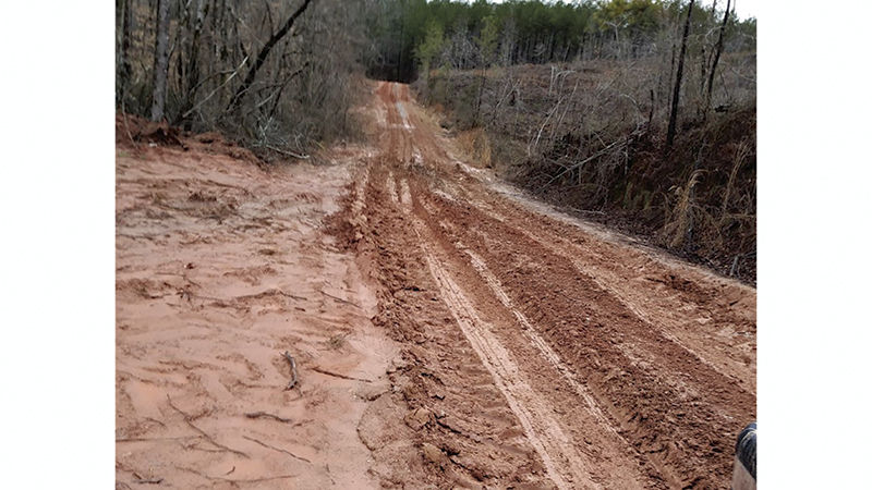 Logging activity makes 6 miles of roads impassable in Tallapoosa County, official says