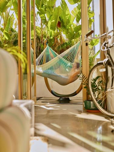 The Throne + Hammock Chair, Changes in Latitudes