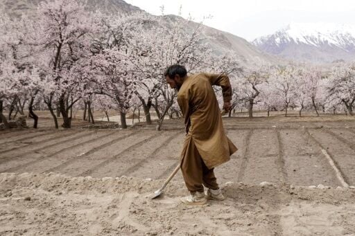 In Pakistan, spiking fertilizer prices due to the war on Iran could have a serious impact on food security